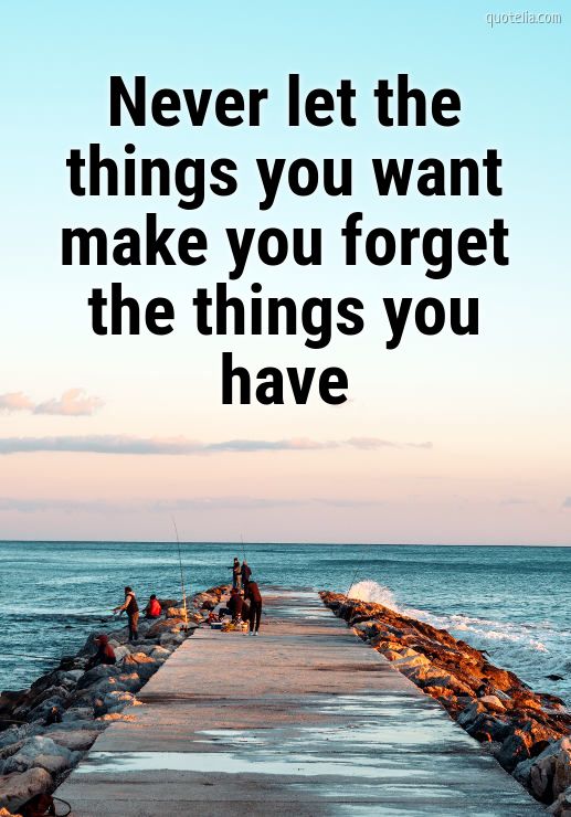 Never let the things you want make you forget the things you have | Quotelia