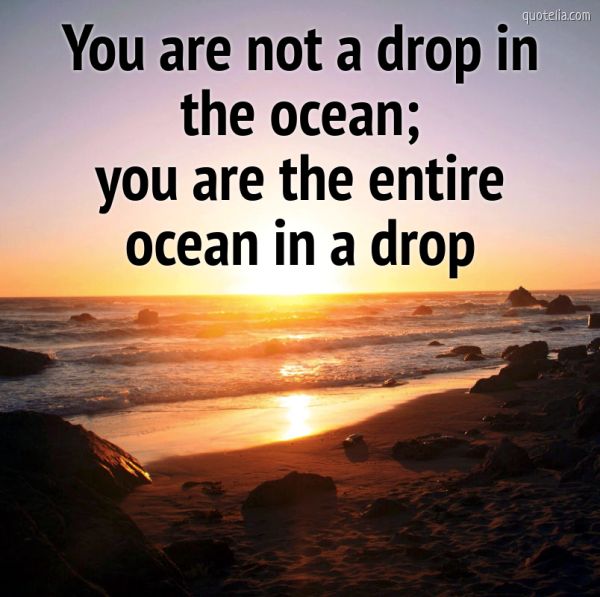 You are not a drop in the ocean; you are the entire ocean in a drop ...