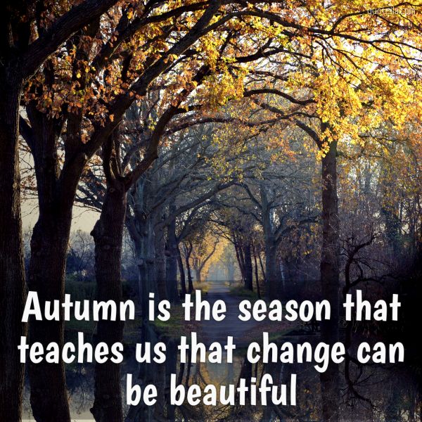 Autumn is the season that teaches us that change can be beautiful ...