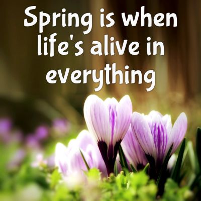 Spring Quotes (21 pictures) | Quotelia