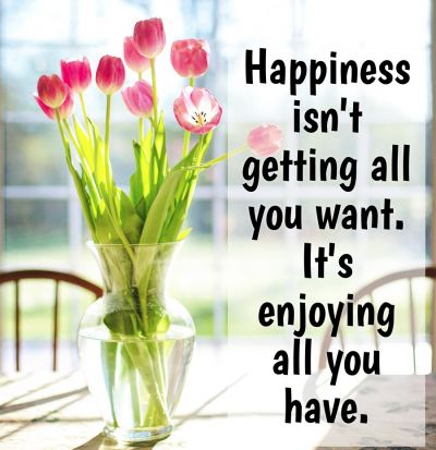 Quotes Happiness is not about getting all you want, it is about enjoying  all you have.